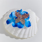 Brooch Mariposa Luxe